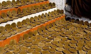 谁知道,猪粪,牛粪,和人的粪便的养分含量(N,P2O5,K2O) 牛粪有的是2